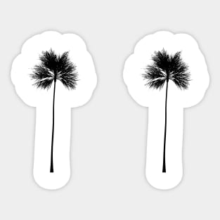 black palm trees design Sticker